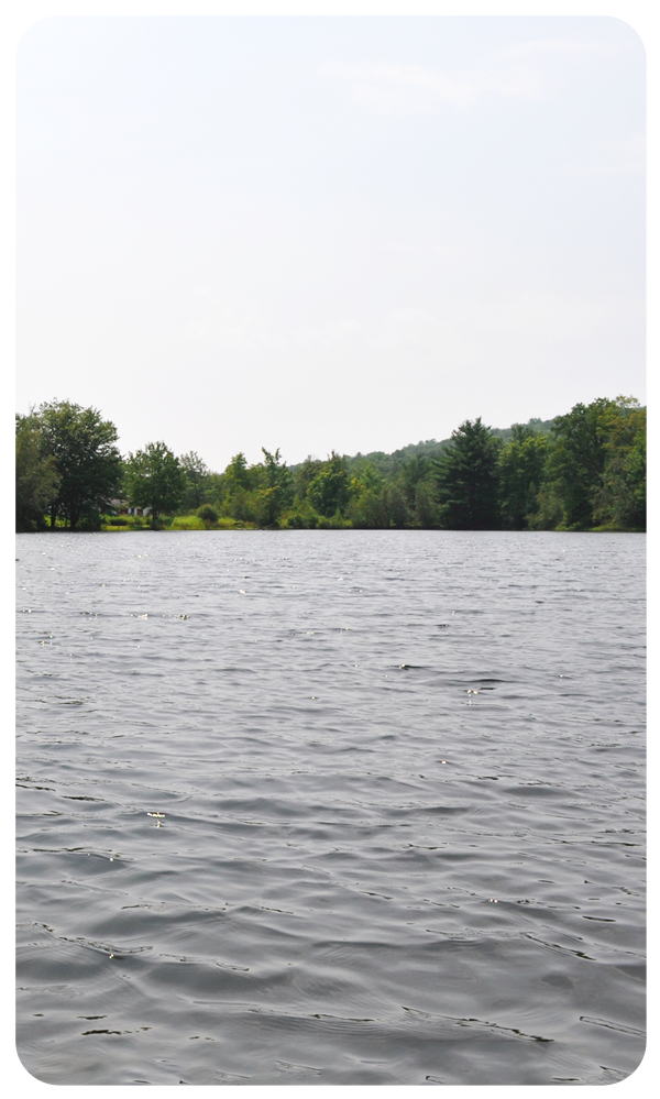 Outline Free HTML5 Responsive Bootstrap Template